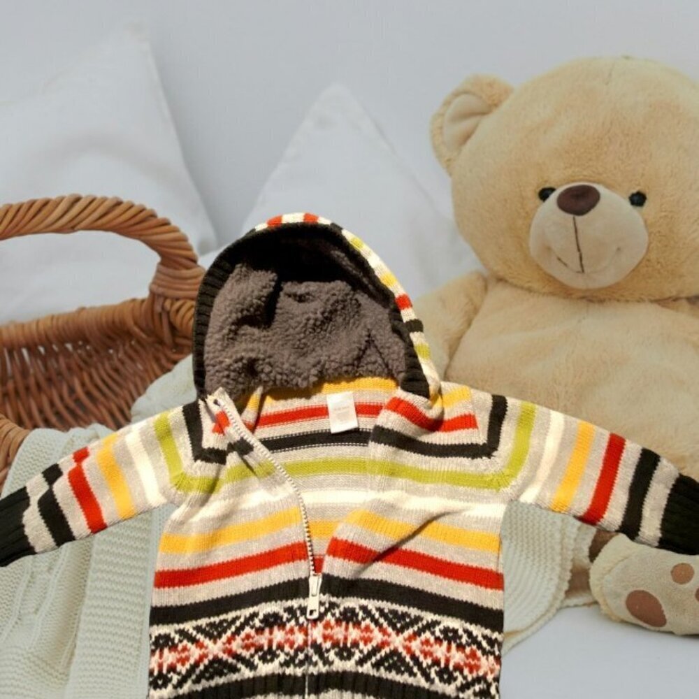 Gymboree Baby Hooded Sweater
